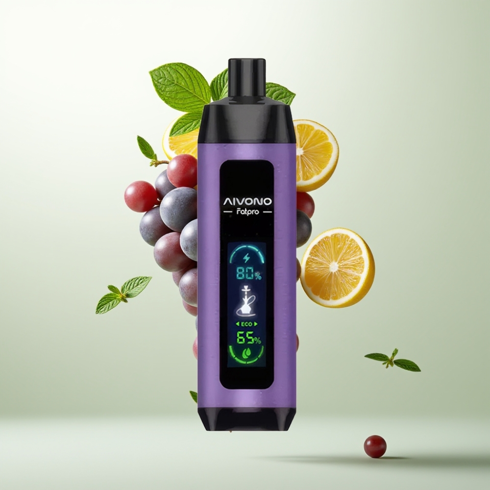 Aivono AIM FATPRO 22000 Puffs 28ml 600mAh Double Modes Menthe Raisin