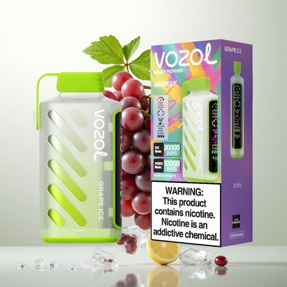 VOZOL Gear Power 20000 Puffs Double Mesh Écran Plein 20mL 5 Glace Raisin