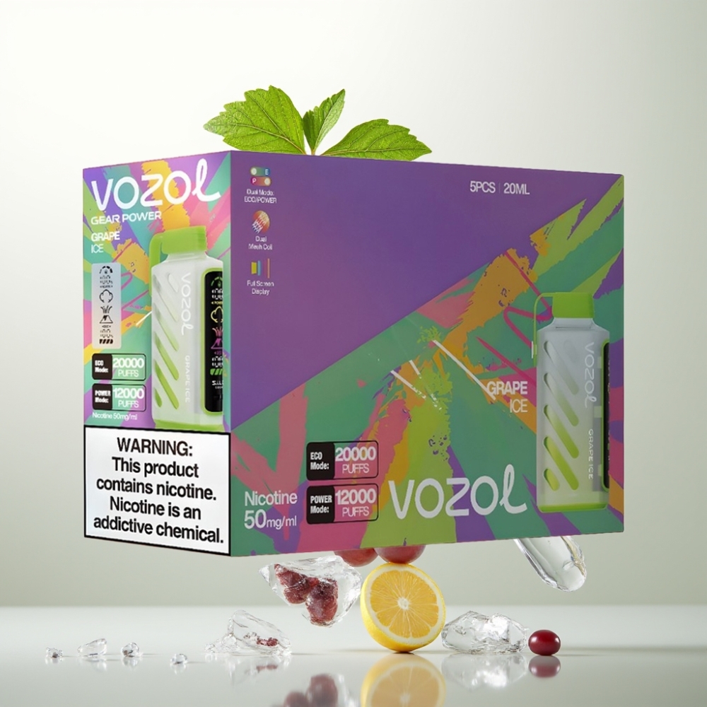 VOZOL Gear Power 20000 Puffs Double Mesh Écran Plein 20mL 5 Glace Raisin