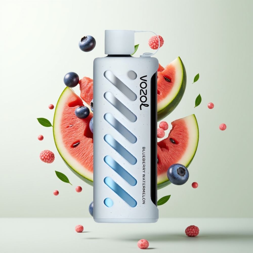 VOZOL Gear Shisha 25000 Puffs SiLC Tech Dual Mesh 1000mAh Myrtille Pastèque