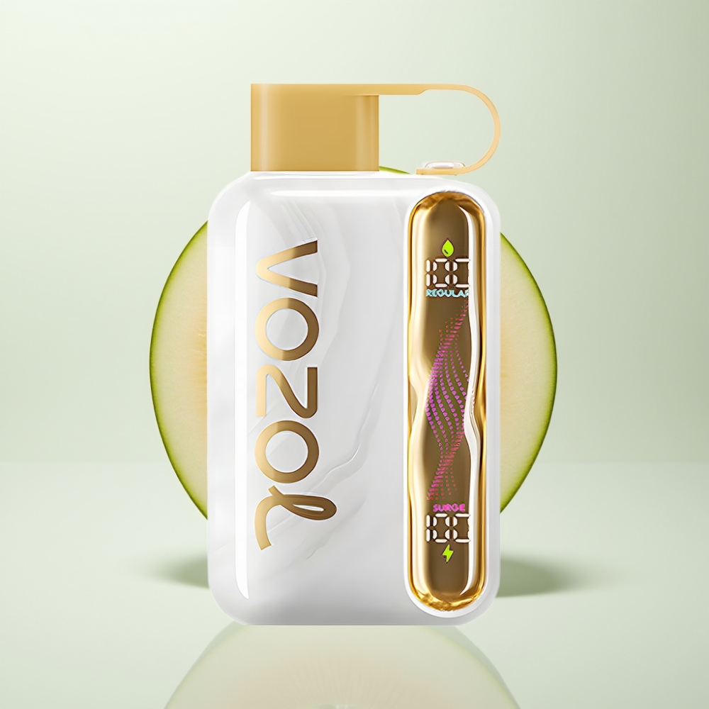 VOZOL STAR 40000 Puffs 1000mAh Type-C Gomme Melon