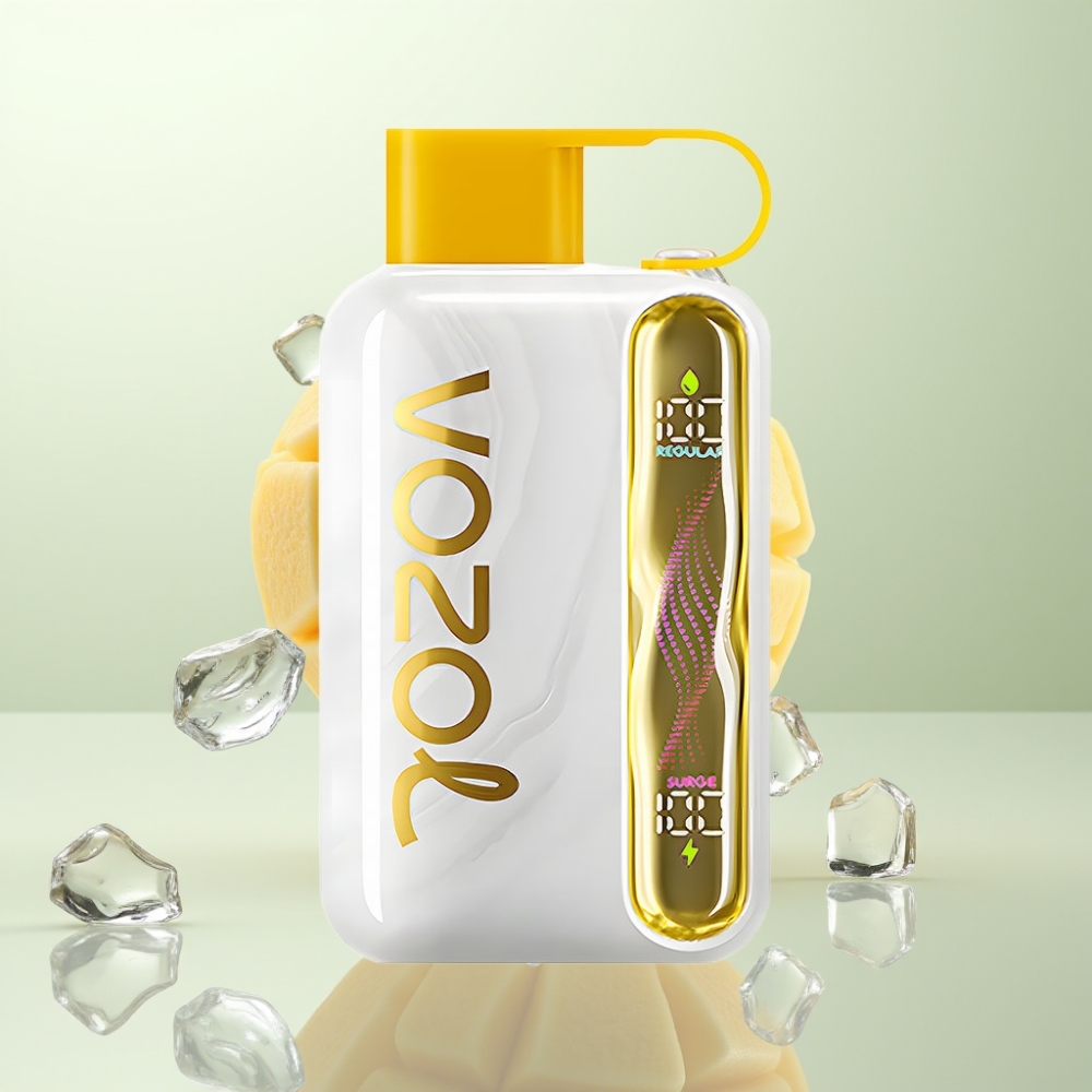 VOZOL STAR 40000 Puffs 1000mAh Type-C Mangue Glacé