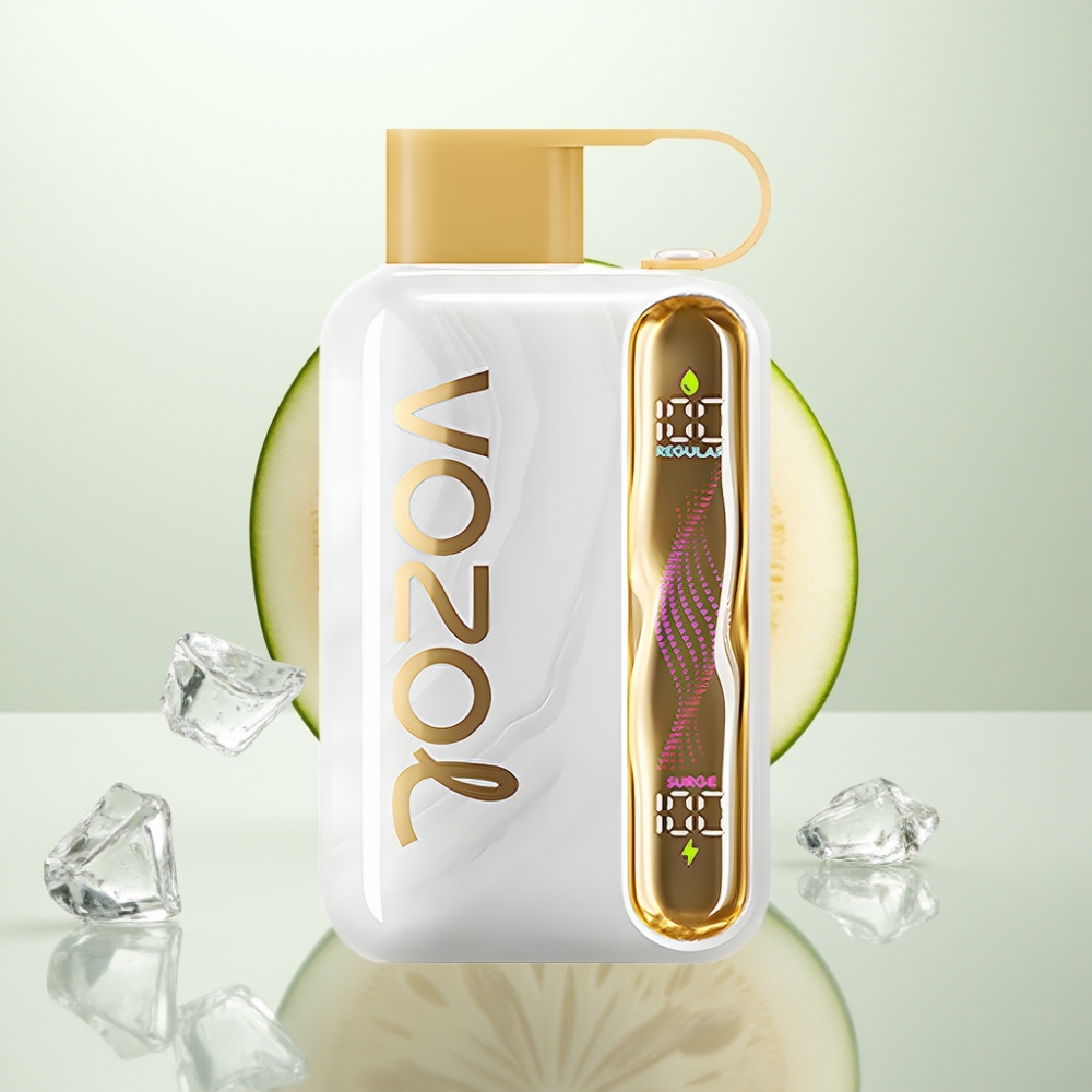 VOZOL STAR 40000 Puffs 1000mAh Type-C Melon Glace