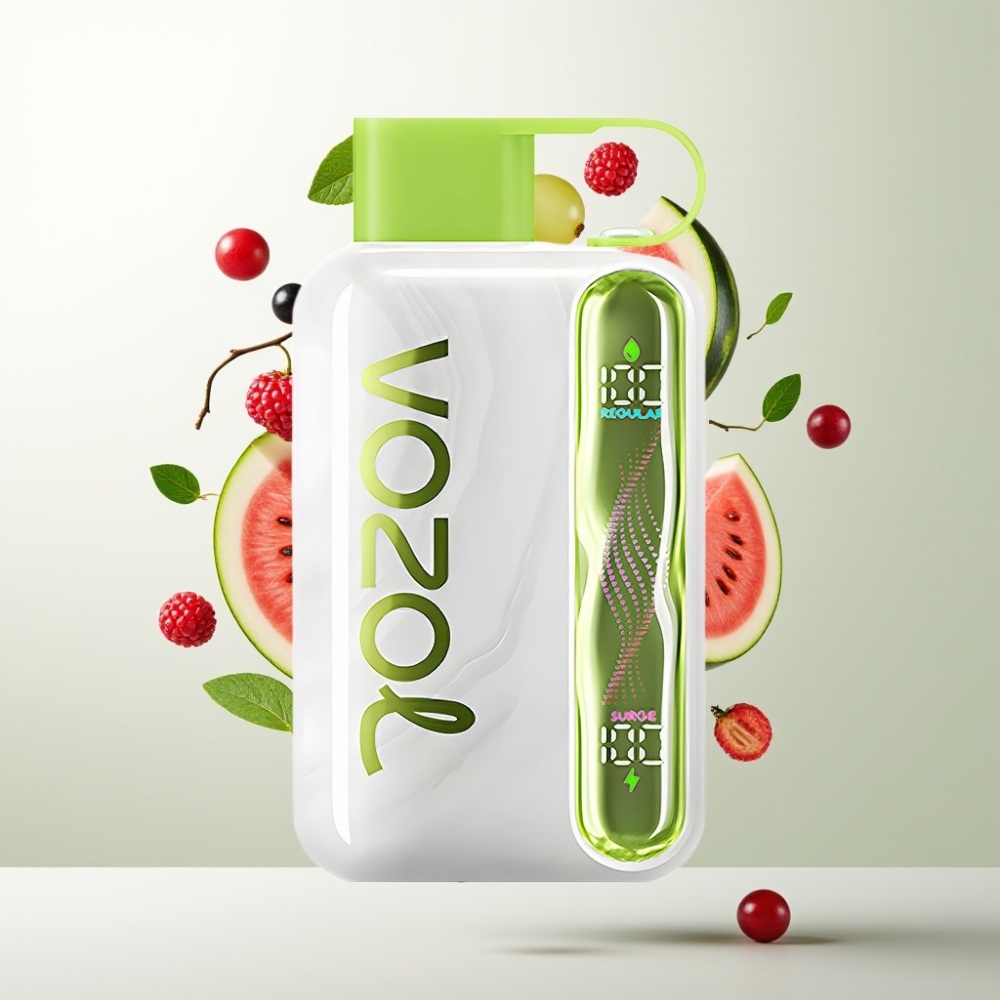 VOZOL STAR 40000 Puffs Pastèque Raisin Boysenberry 1000mAh Type-C 20/50mg/ml