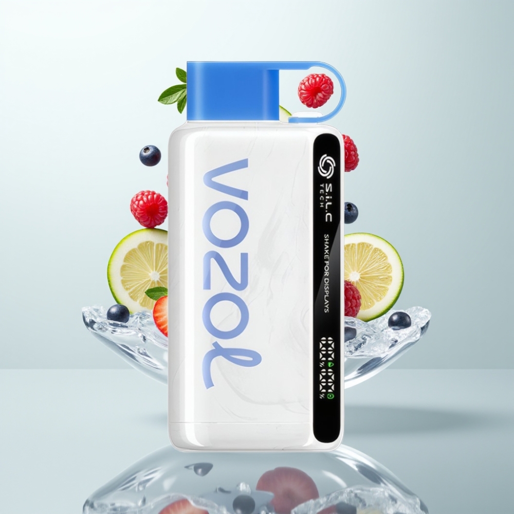 VOZOL STAR 9000/12000 Disposable Vape Charge Rapide 30 650mAh Bleu Framboise Glacée