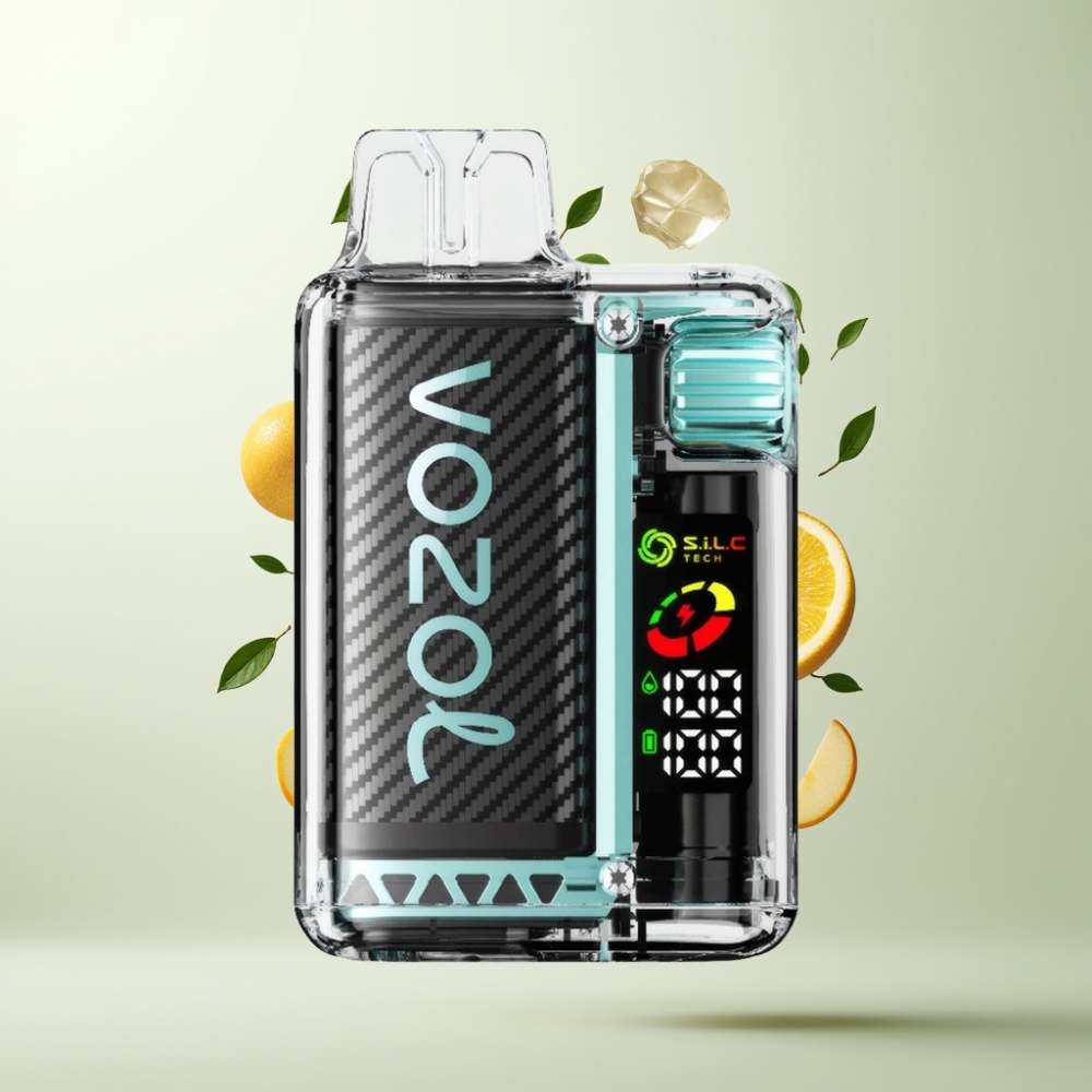 VOZOL Vista 20 000 Puffs Batterie Rechargeable 650mAh 2 Nicotine Écran OLED Pomme Acidulée Glacée