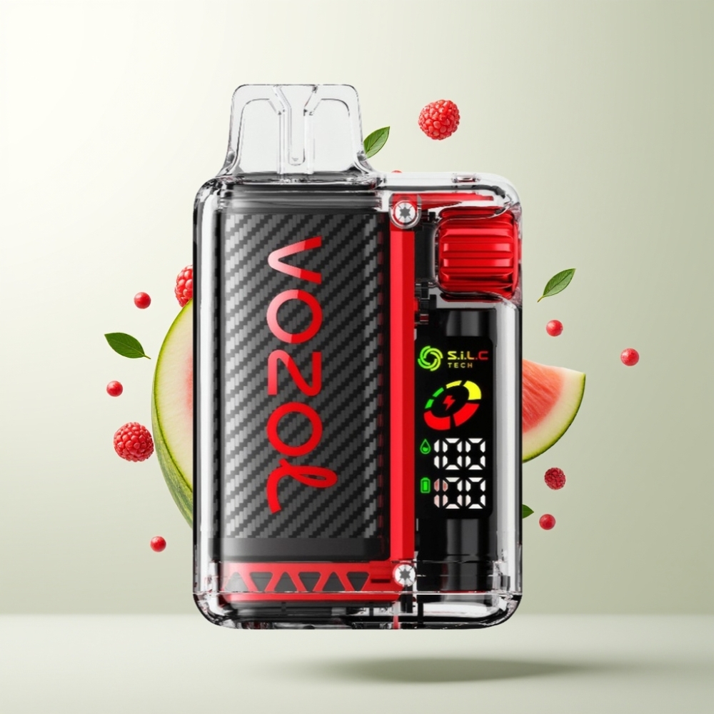VOZOL Vista 20000 Puffs Batterie Rechargeable 650mAh OLED 2 Framboise Pastèque