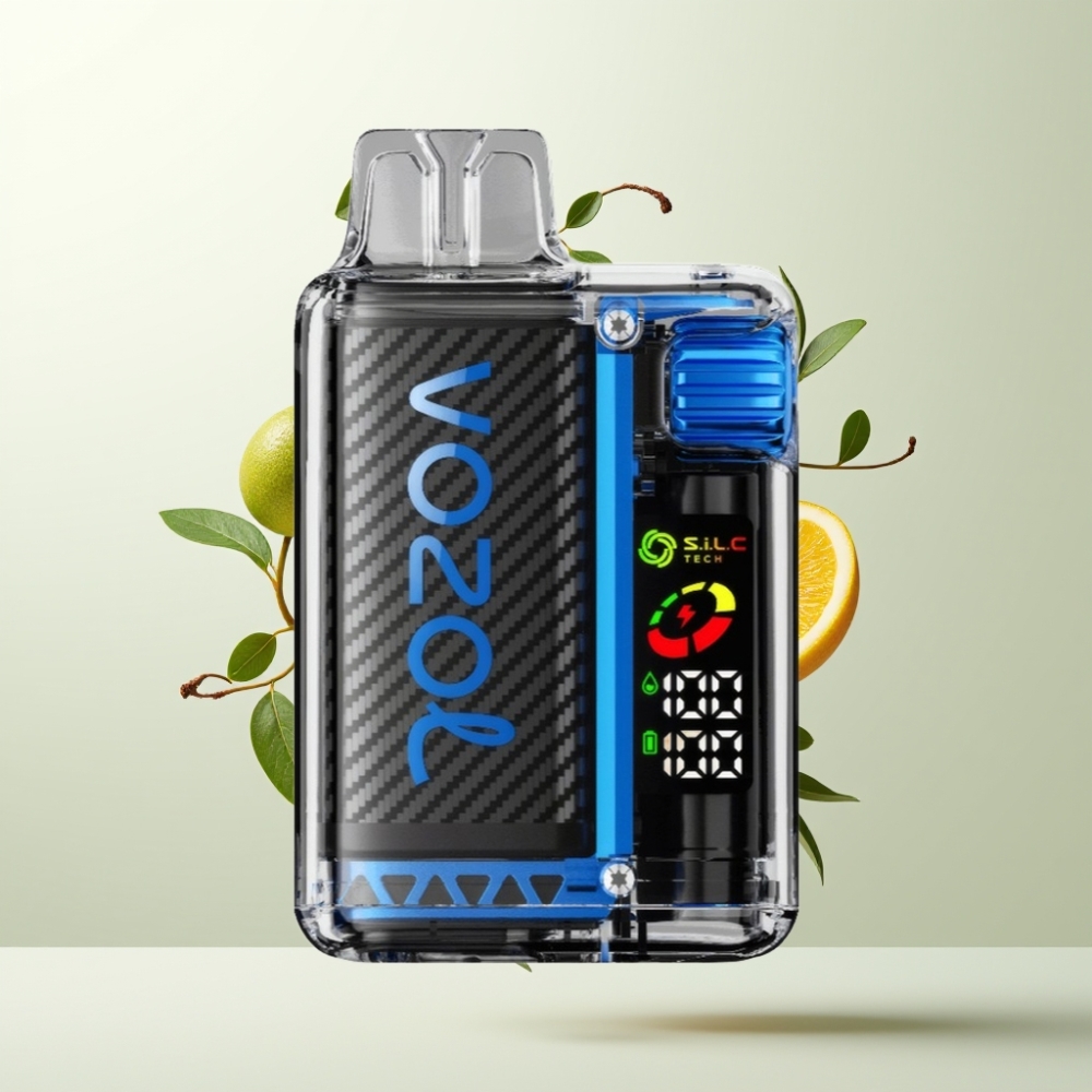 VOZOL Vista 20000 Puffs Rechargeable 650mAh 2 OLED SiLC Tech Dual Mesh Vzbull (Taureau)