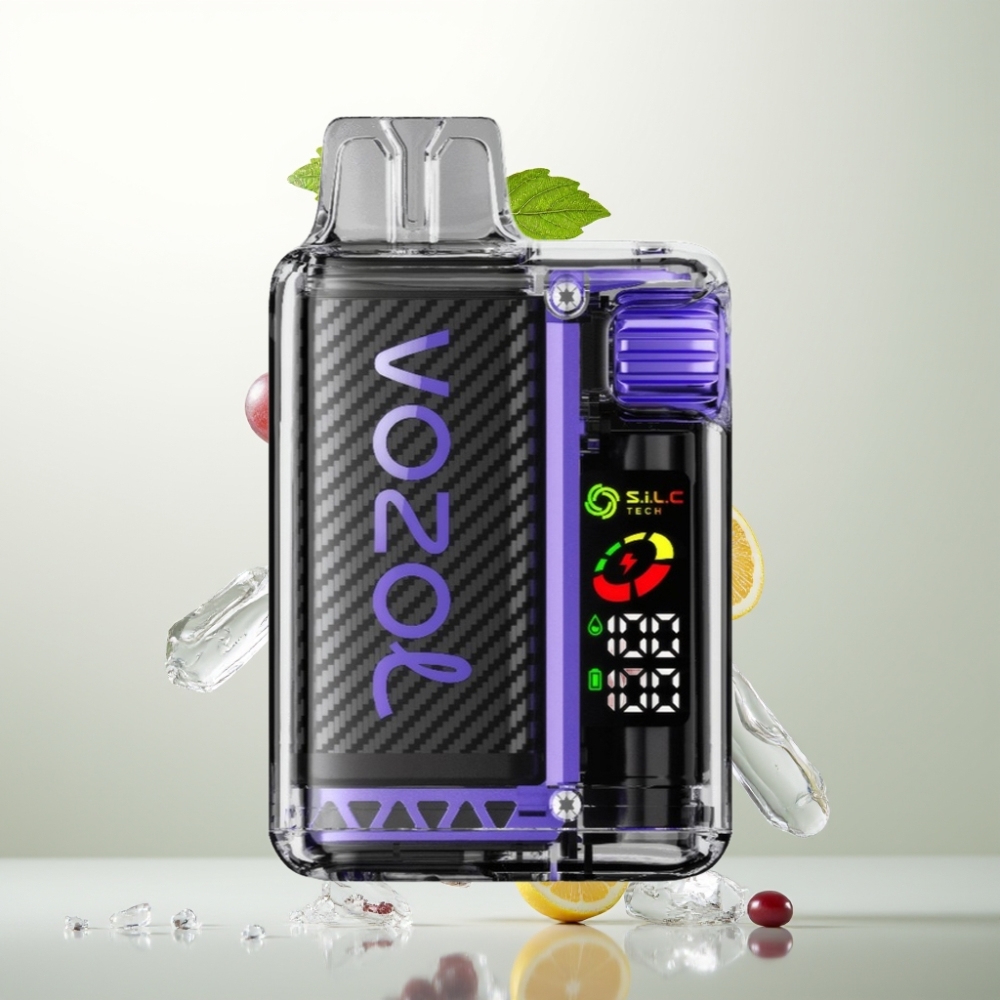 VOZOL Vista 20000 Puffs Rechargeable Batterie 650mAh 2 Nicotine Écran OLED Double Mesh SiLC Tech Glace Raisin