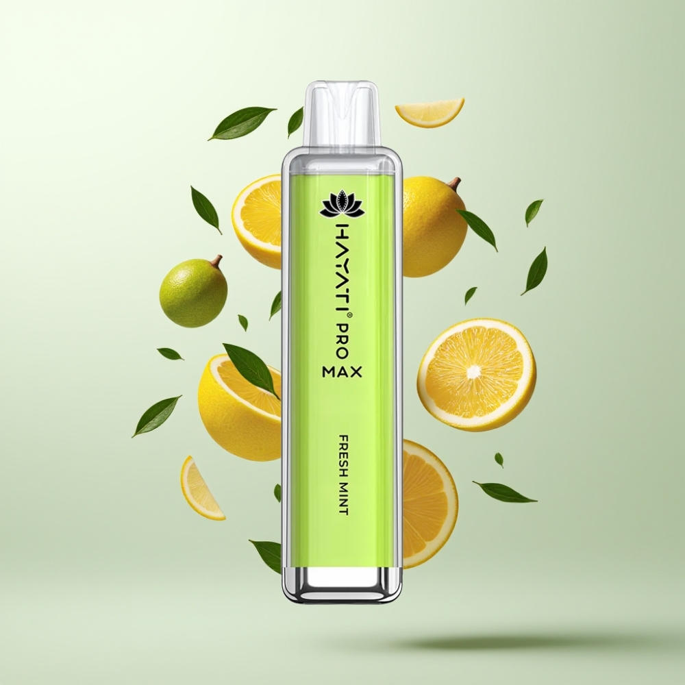 Hayati Pro Max 4000 Puffs Double Résistance 1.1 Ohm Menthe Fraîche