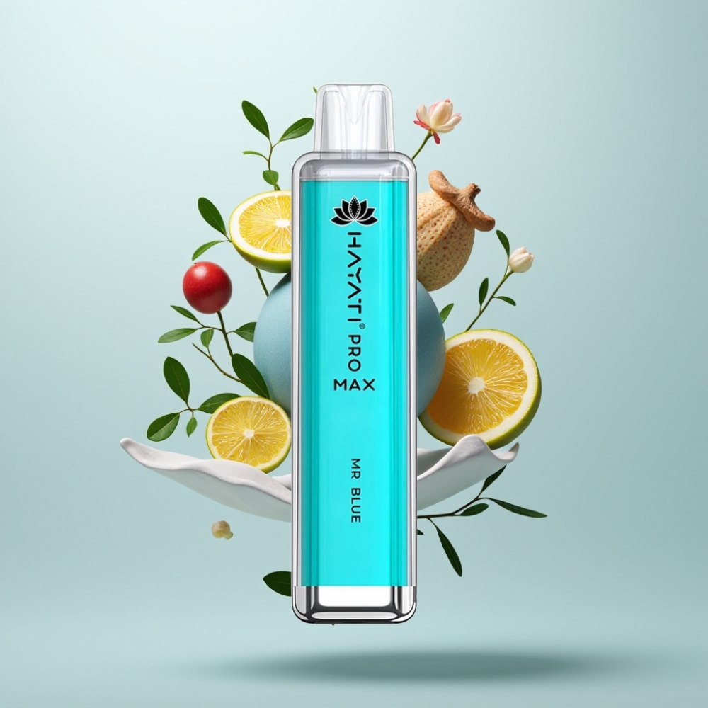 Hayati Pro Max 4000 Puffs E-Cigarette Jetable Rechargeable 1400mAh 2%/5% Nicotine Mr Bleu