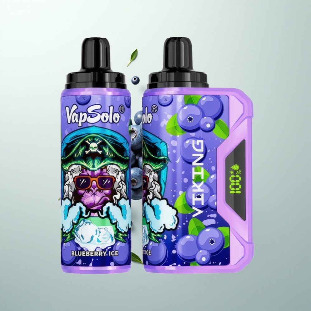 VapSolo VIKING 12000 Puffs 22ml Myrtille Type-C LED