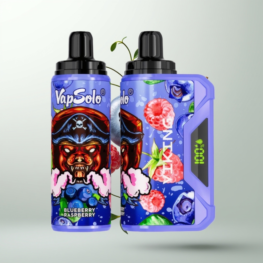 VapSolo VIKING 12000 Puffs 22ml Type-C Myrtille Framboise