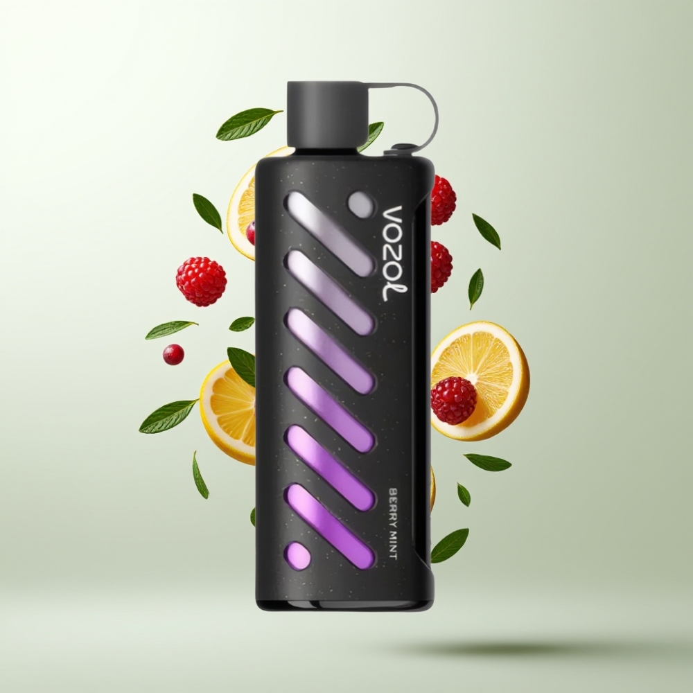 VOZOL Gear Shisha 25000 Puffs Double Mesh S.i.L.C Tech 1000mAh Menthe Baies