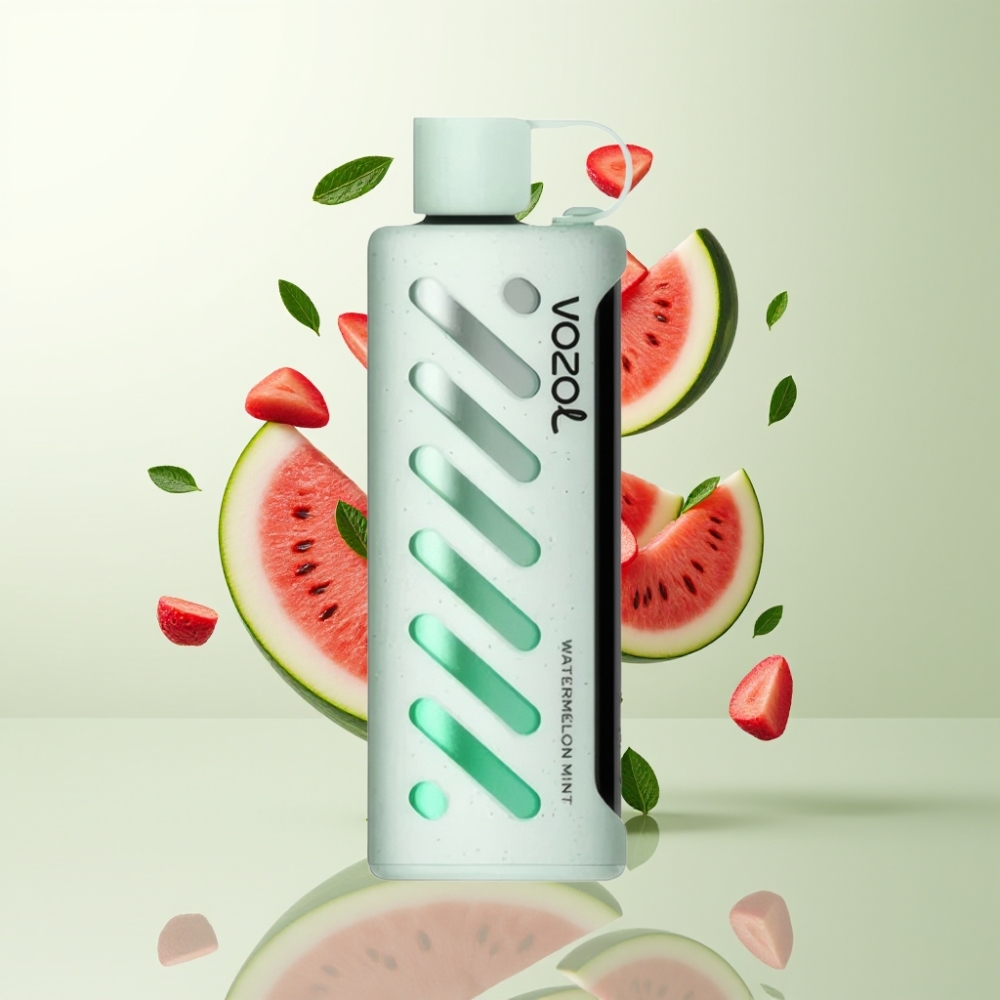VOZOL Gear Shisha 25000 Puffs Pastèque Menthe 5mg/ml 1000mAh Dual Mesh S.i.L.C Tech