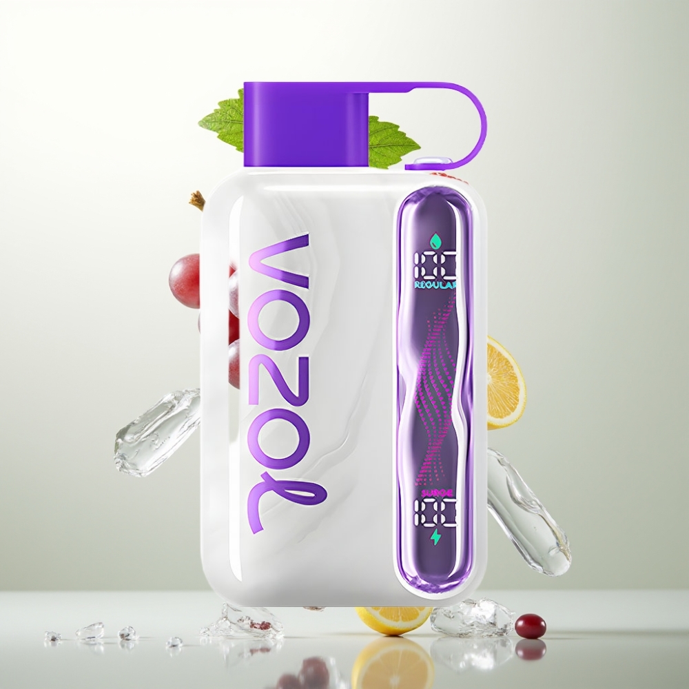 VOZOL STAR 40000 Puffs 1000mAh Type-C Glace au Raisin