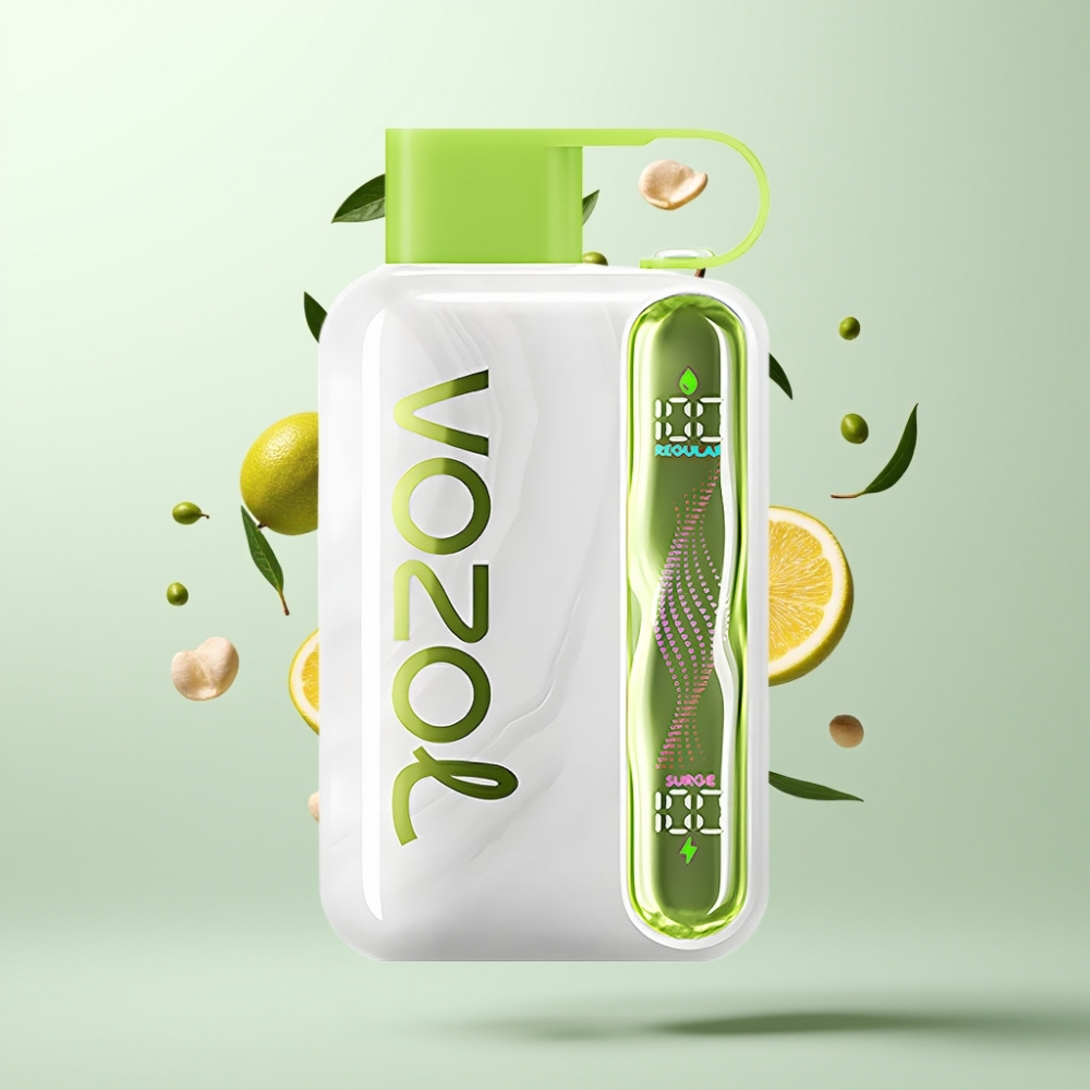 VOZOL STAR 40000 Puffs 1000mAh Type-C Menthe Glacée