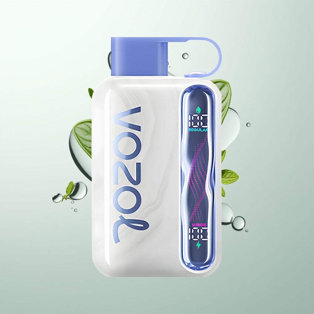 VOZOL STAR 40000 Puffs 1000mAh Type-C Myrtille Menthe