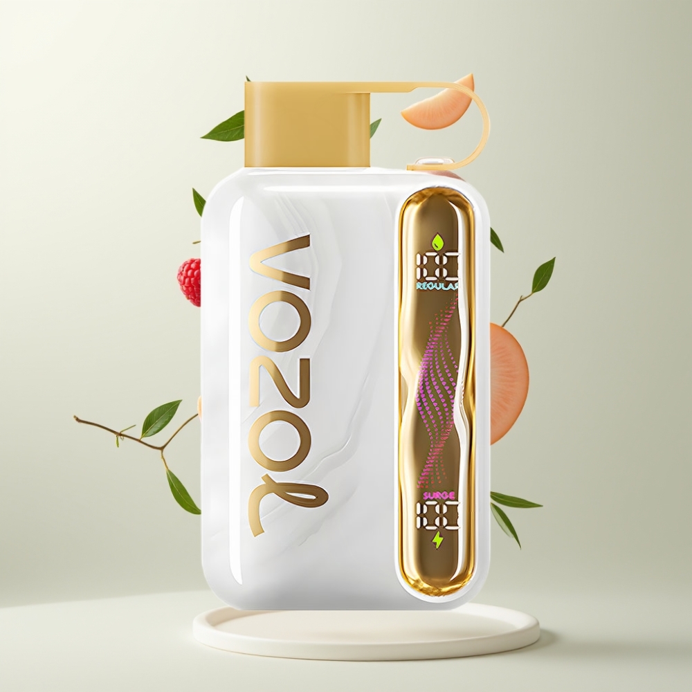 VOZOL STAR 40000 Puffs 1000mAh Type-C Pêche Blanche Framboise