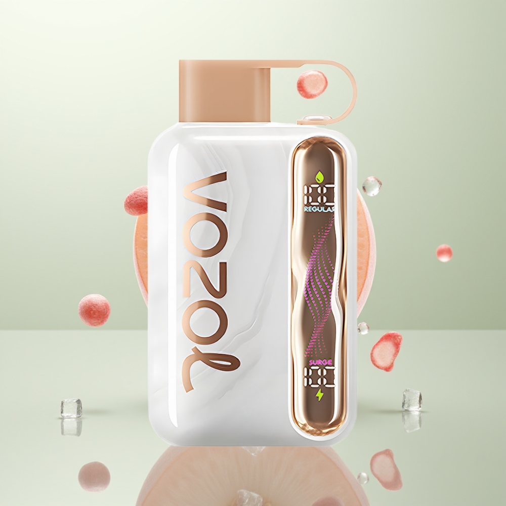VOZOL STAR 40000 Puffs 1000mAh Type-C Pêche Glacée