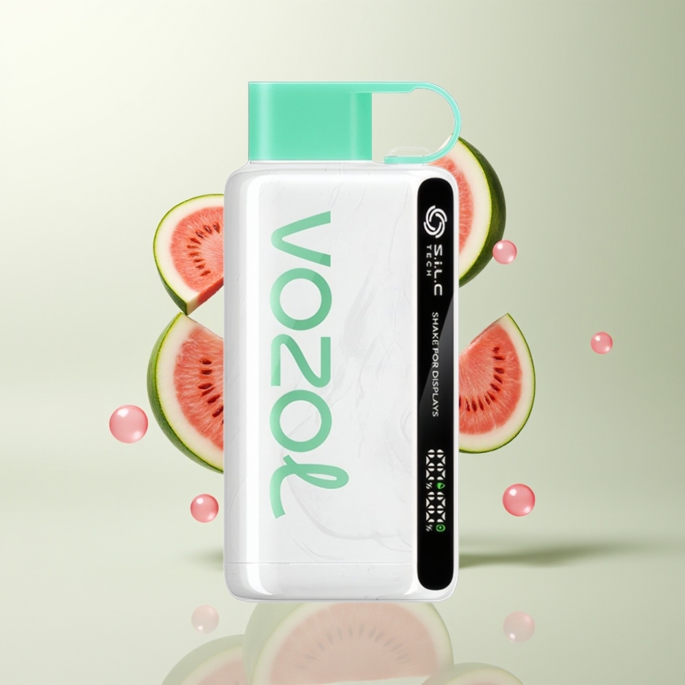 VOZOL STAR 9000/12000 E-Liquide Disposable Vape Charge Rapide 30% Chewing-Gum Pastèque Recyclé