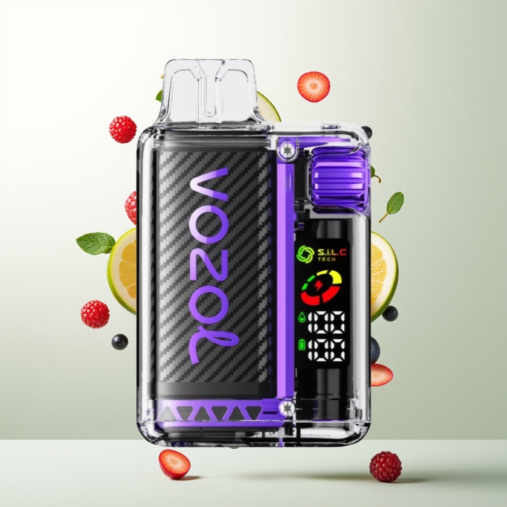 VOZOL Vista 20000 Puffs Batterie Rechargeable 650mAh OLED 2% Nicotine Baies Mixtes Écologique TPD