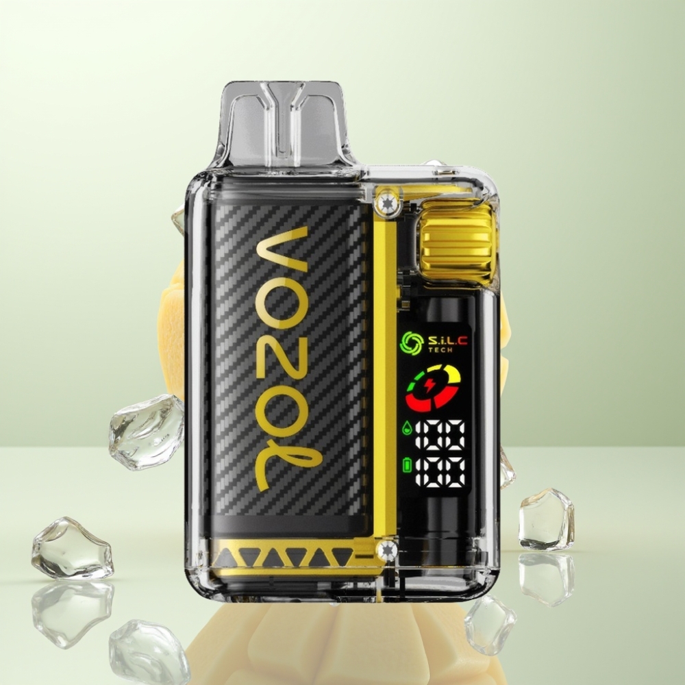 VOZOL Vista 20000 Puffs Rechargeable 650mAh 2% Nicotine OLED MTL Mangue Glacé