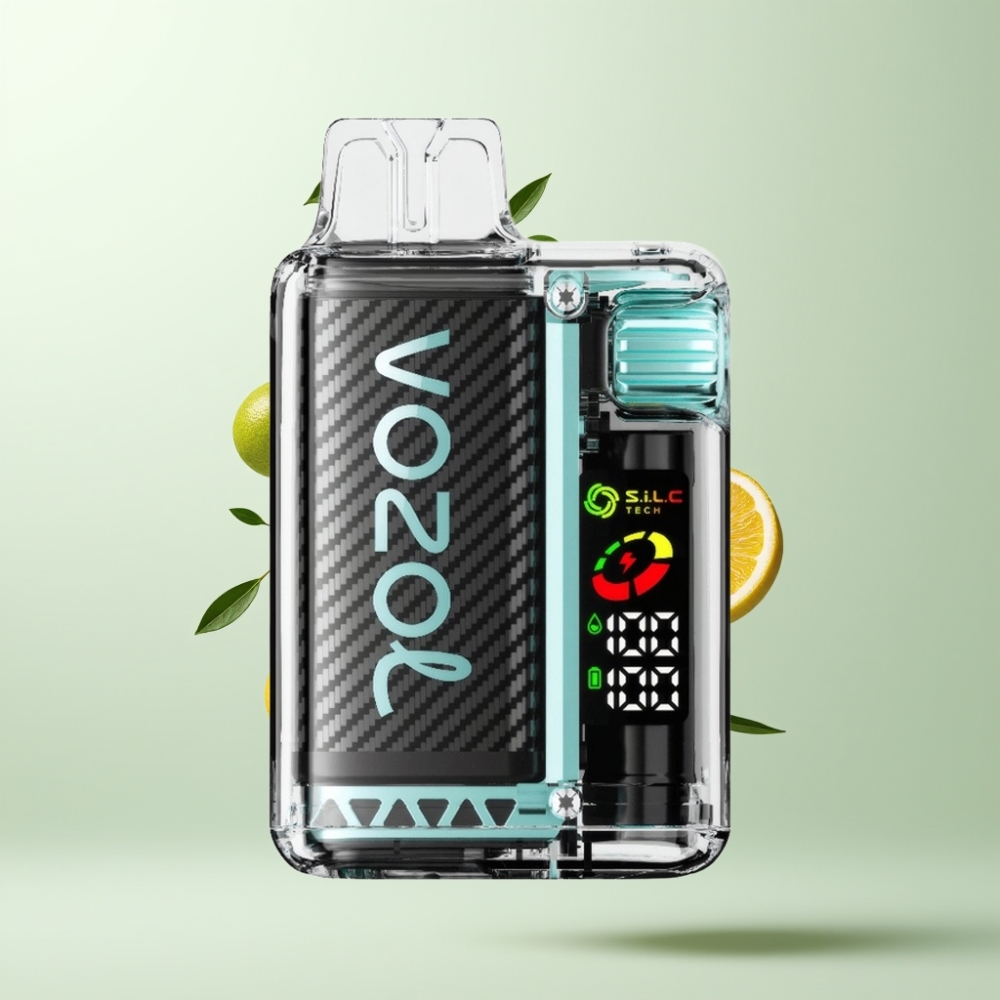 VOZOL Vista 20000 Puffs Rechargeable 650mAh 2% Nicotine OLED Écran Miami Menthe